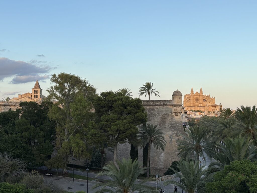 Blick auf die Altstadt von Palma de Mallorca mit Palmen – Symbolbild zur persönlichen Geschichte über die AI-Officer-Zertifizierung